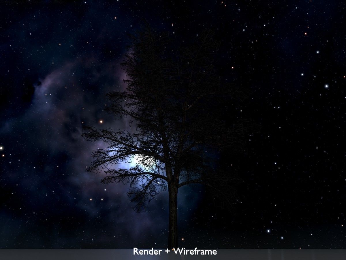 Hazelnut Tree Winter Package 3D Model Collection_77