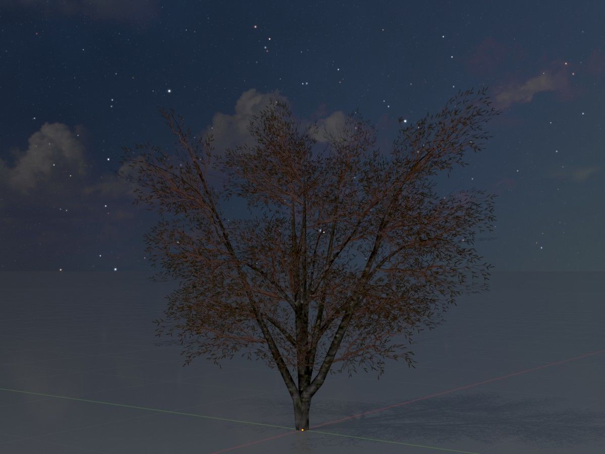 Hazelnut Tree Winter Package 3D Model Collection_13