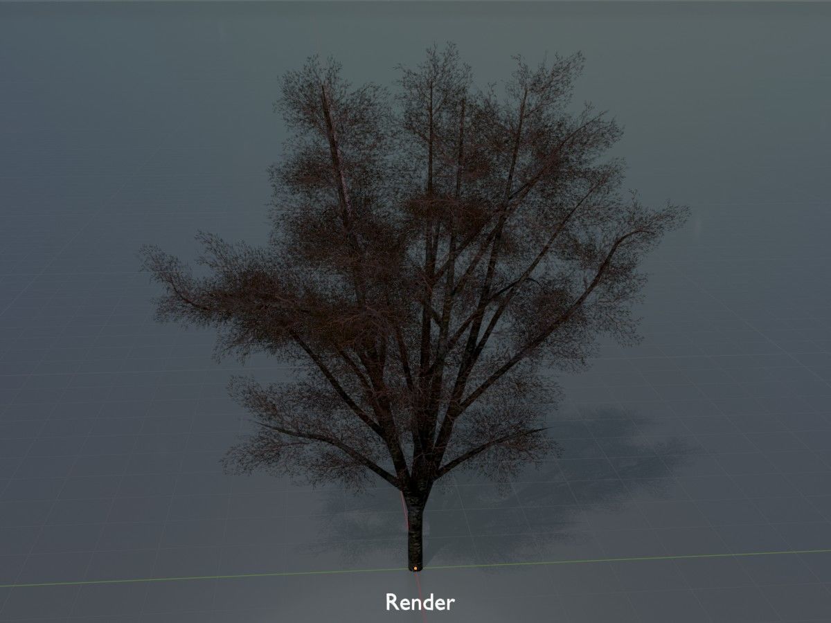 Hazelnut Tree Winter Package 3D Model Collection_66