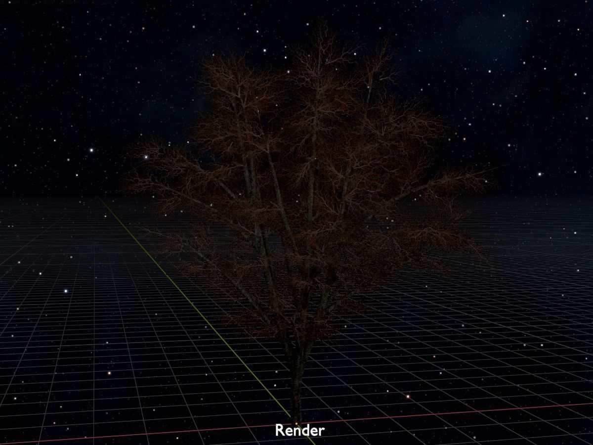 Hazelnut Tree Winter Package 3D Model Collection_67