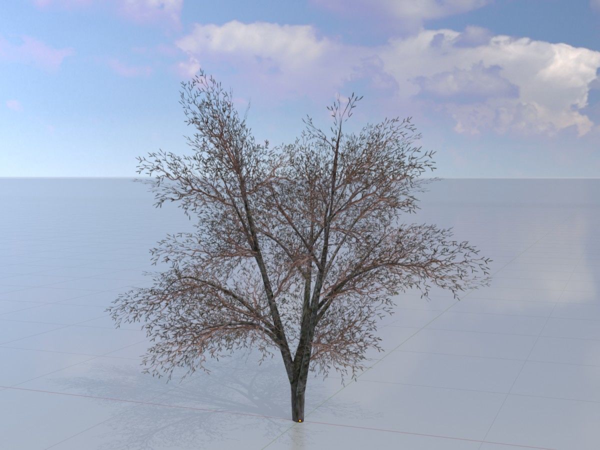 Hazelnut Tree Winter Package 3D Model Collection_11