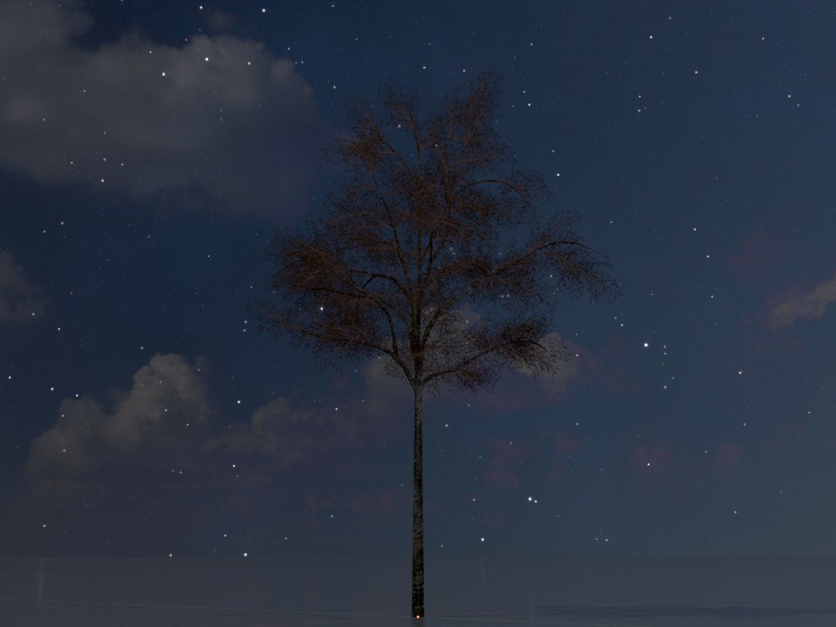 Hazelnut Tree Winter Package 3D Model Collection_34