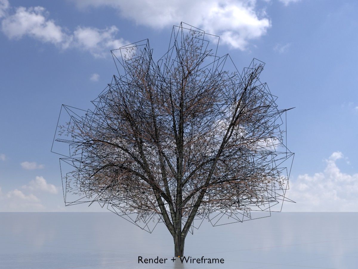 Hazelnut Tree Winter Package 3D Model Collection_16