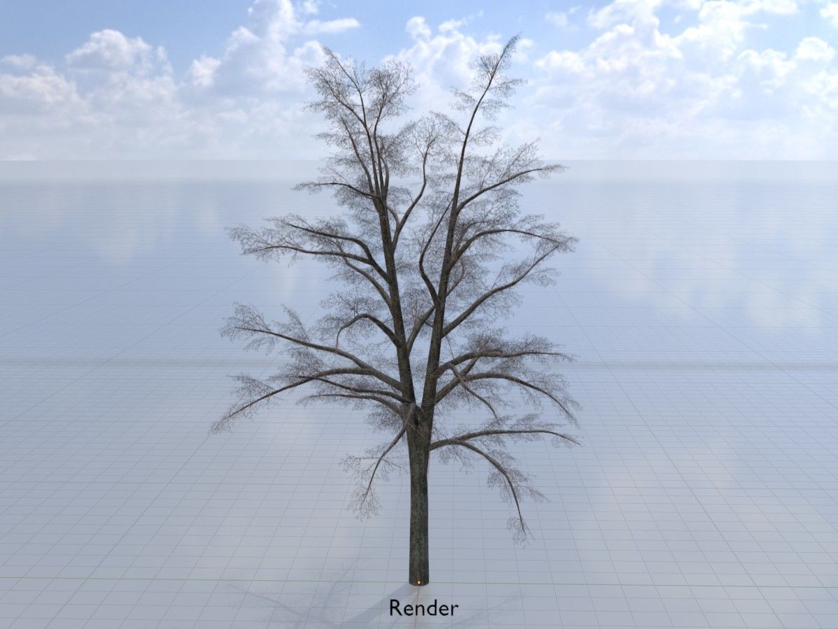 Hazelnut Tree Winter Package 3D Model Collection_104