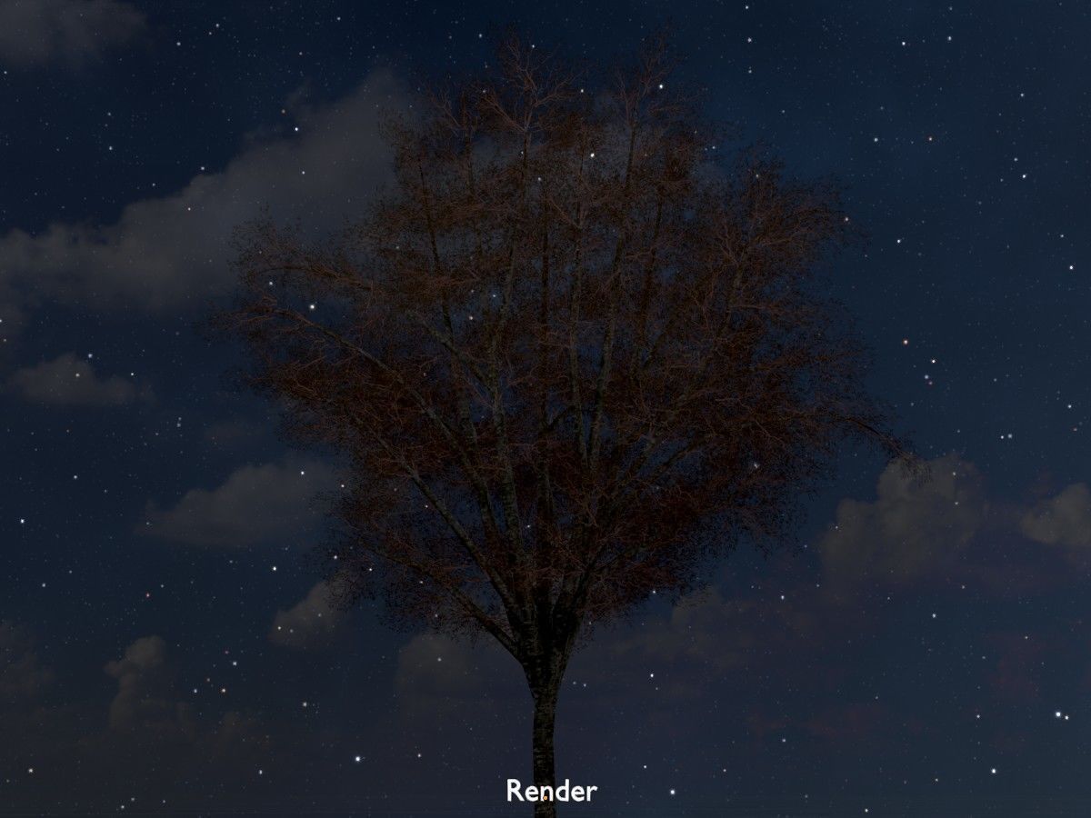 Hazelnut Tree Winter Package 3D Model Collection_70