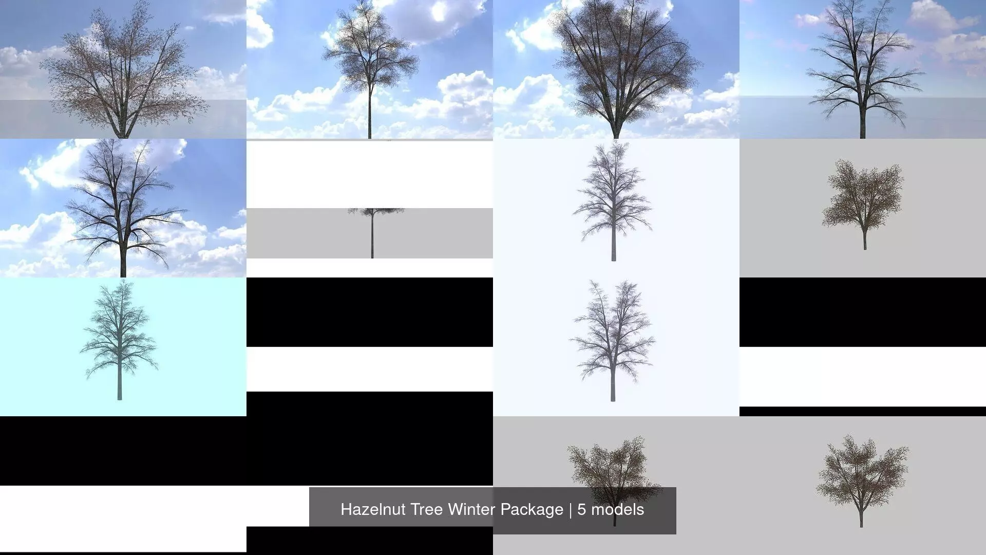 Hazelnut Tree Winter Package 3D Model Collection_0