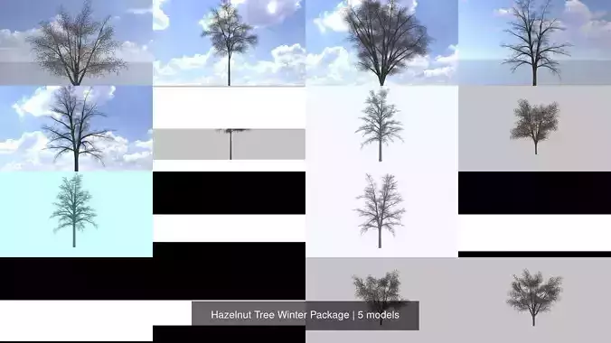 Hazelnut Tree Winter Package 3D Model Collection