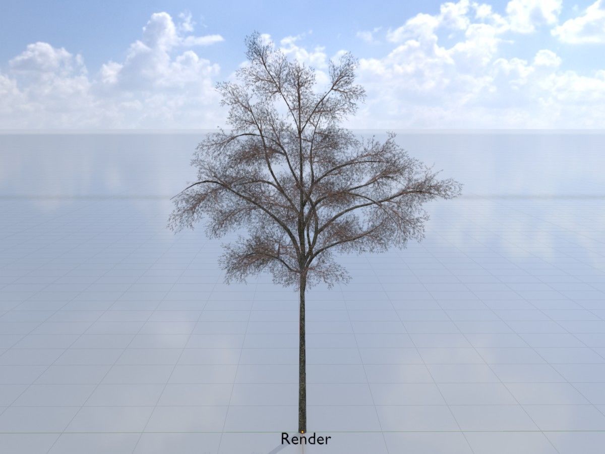 Hazelnut Tree Winter Package 3D Model Collection_44