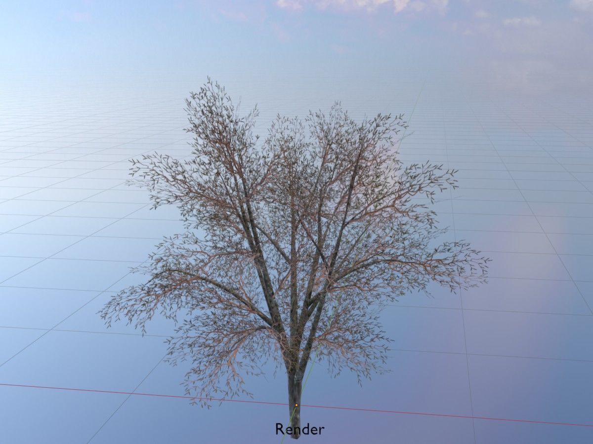 Hazelnut Tree Winter Package 3D Model Collection_29