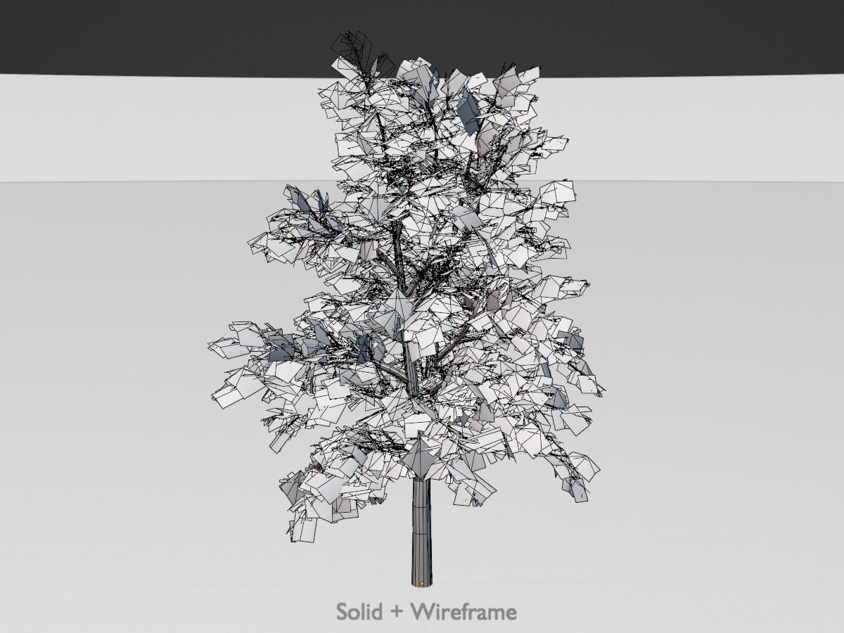 Hazelnut Tree Winter Package 3D Model Collection_82