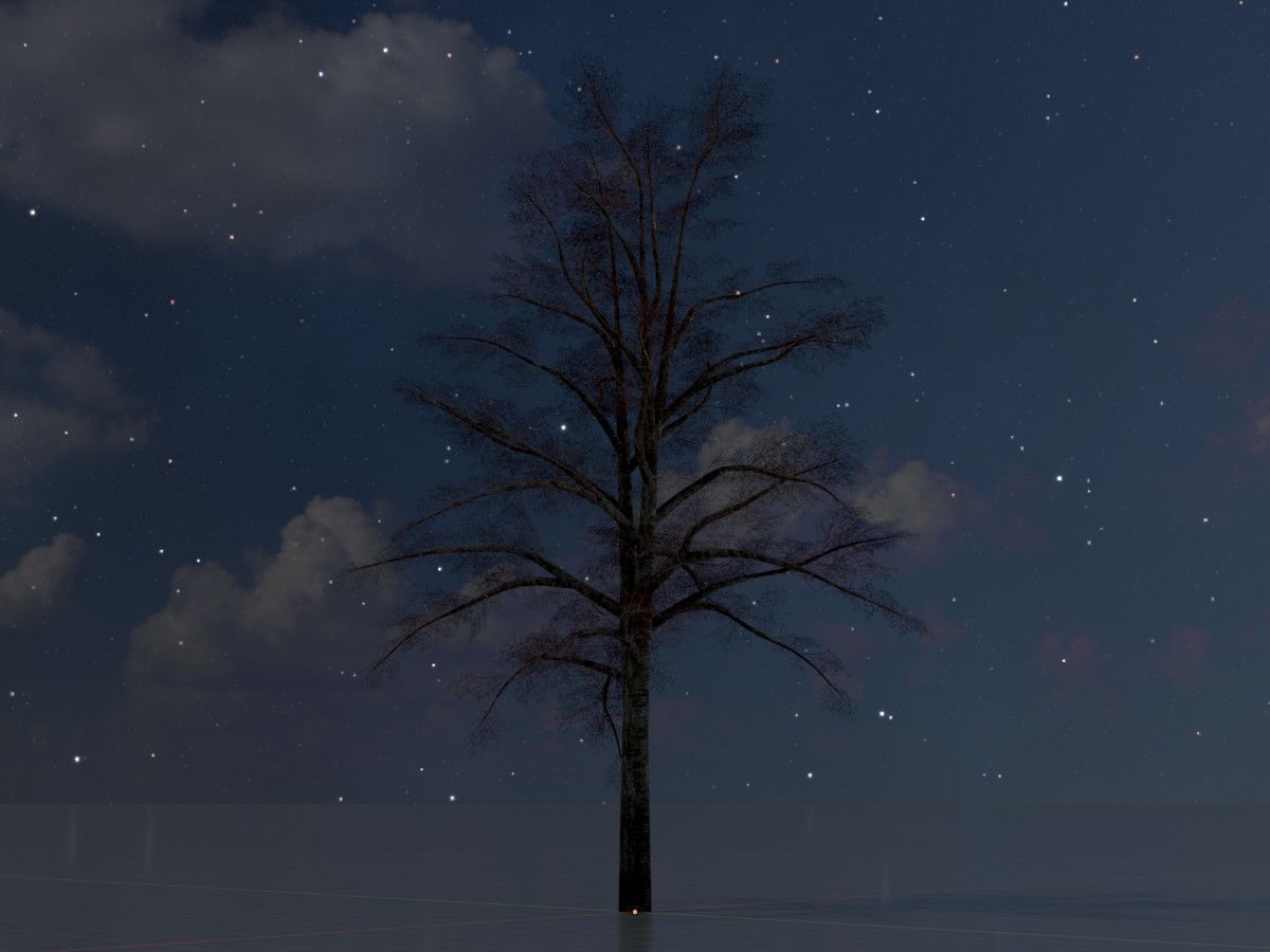 Hazelnut Tree Winter Package 3D Model Collection_94