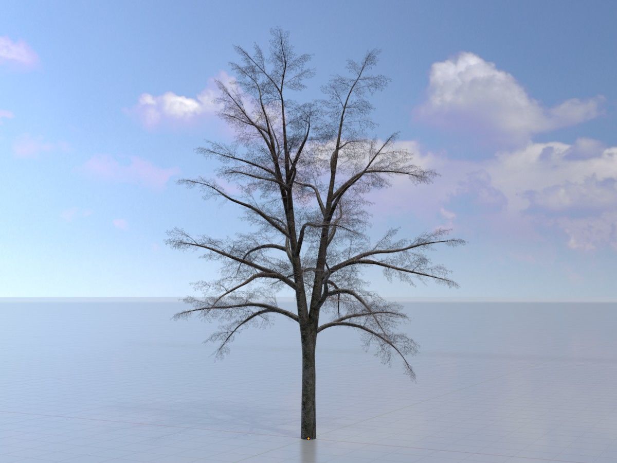 Hazelnut Tree Winter Package 3D Model Collection_73