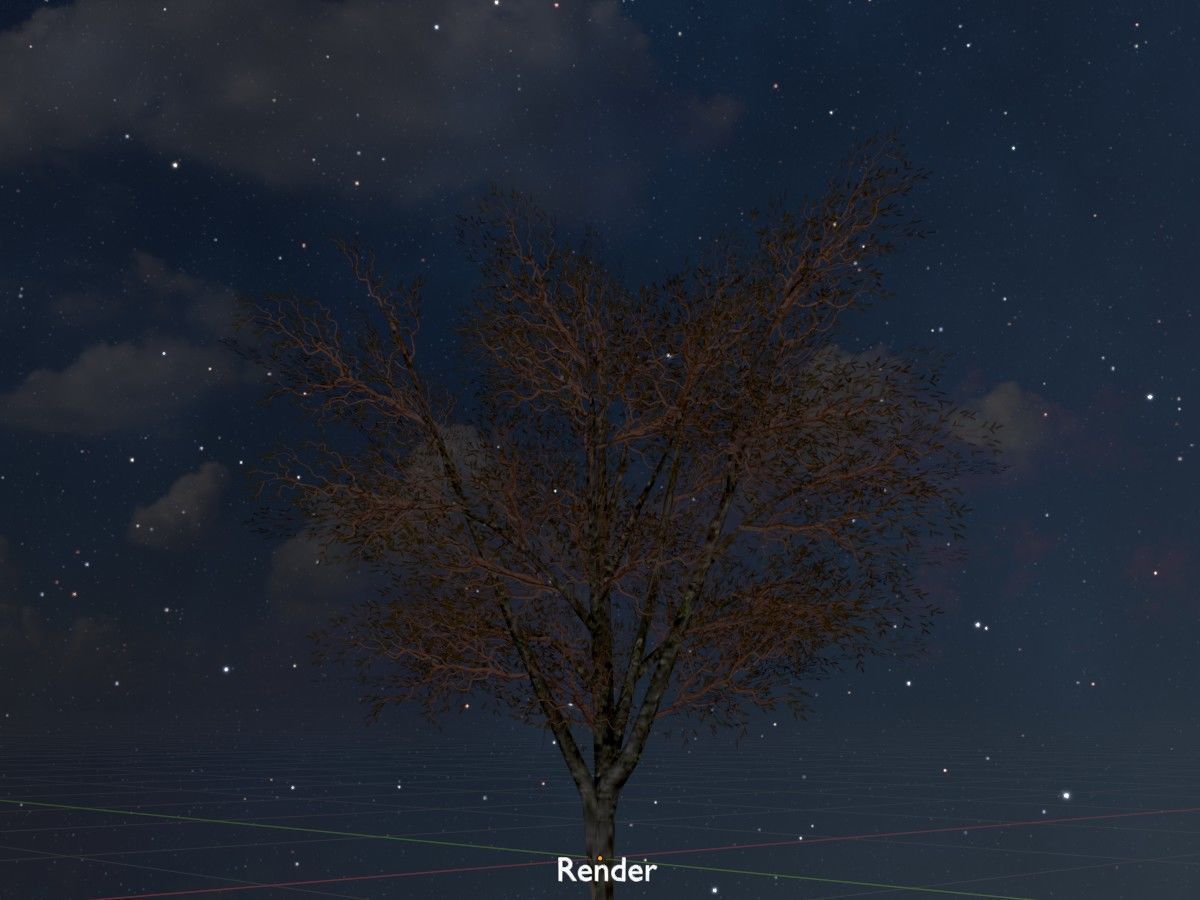 Hazelnut Tree Winter Package 3D Model Collection_30