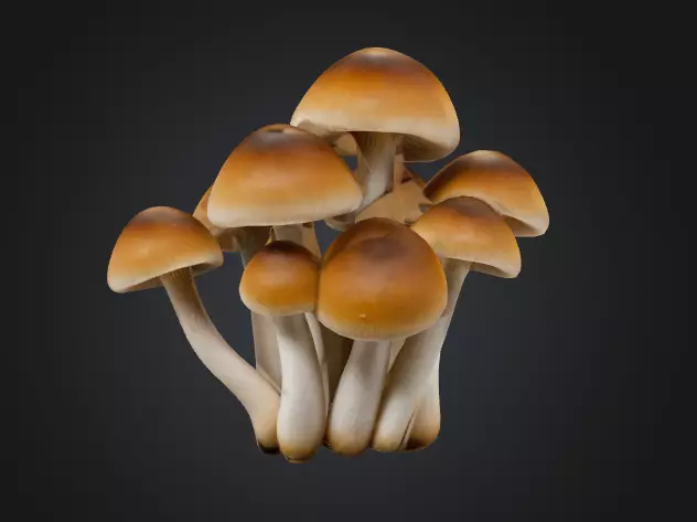 Cluster Mushroom 3D model_0