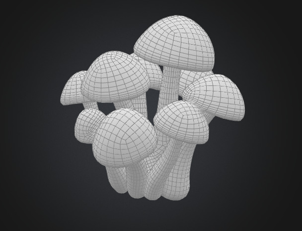 Cluster Mushroom 3D model_5
