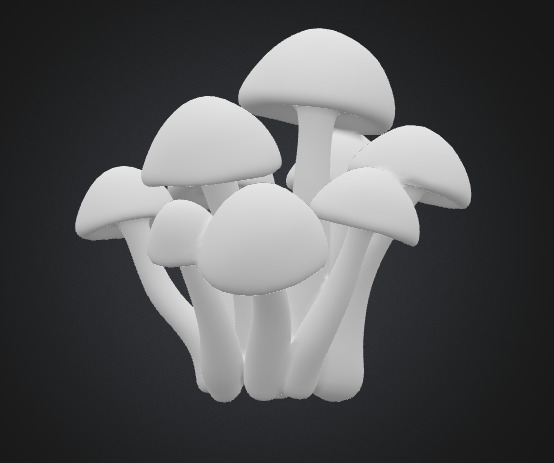 Cluster Mushroom 3D model_4