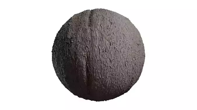 Anydrafts Abies fabri Bark 04