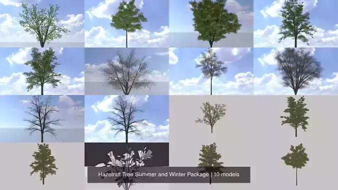 Hazelnut Tree Summer and Winter Package 3D Model Collection