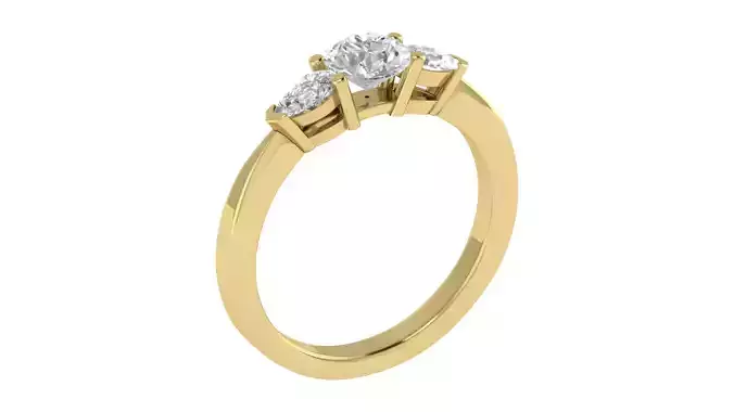 Women Ring  Render 3dm STL OBJ FBX TXT Details