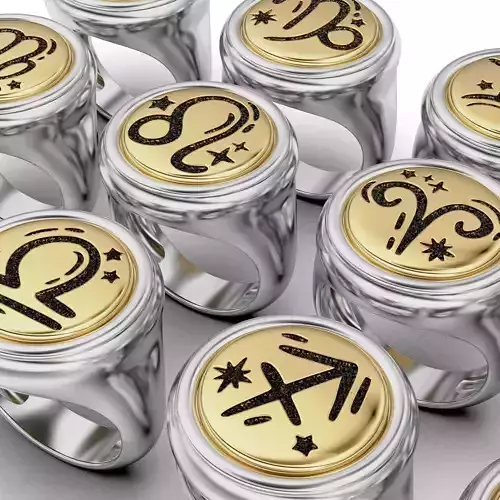Zodiac Sign Ring Set 3D print model