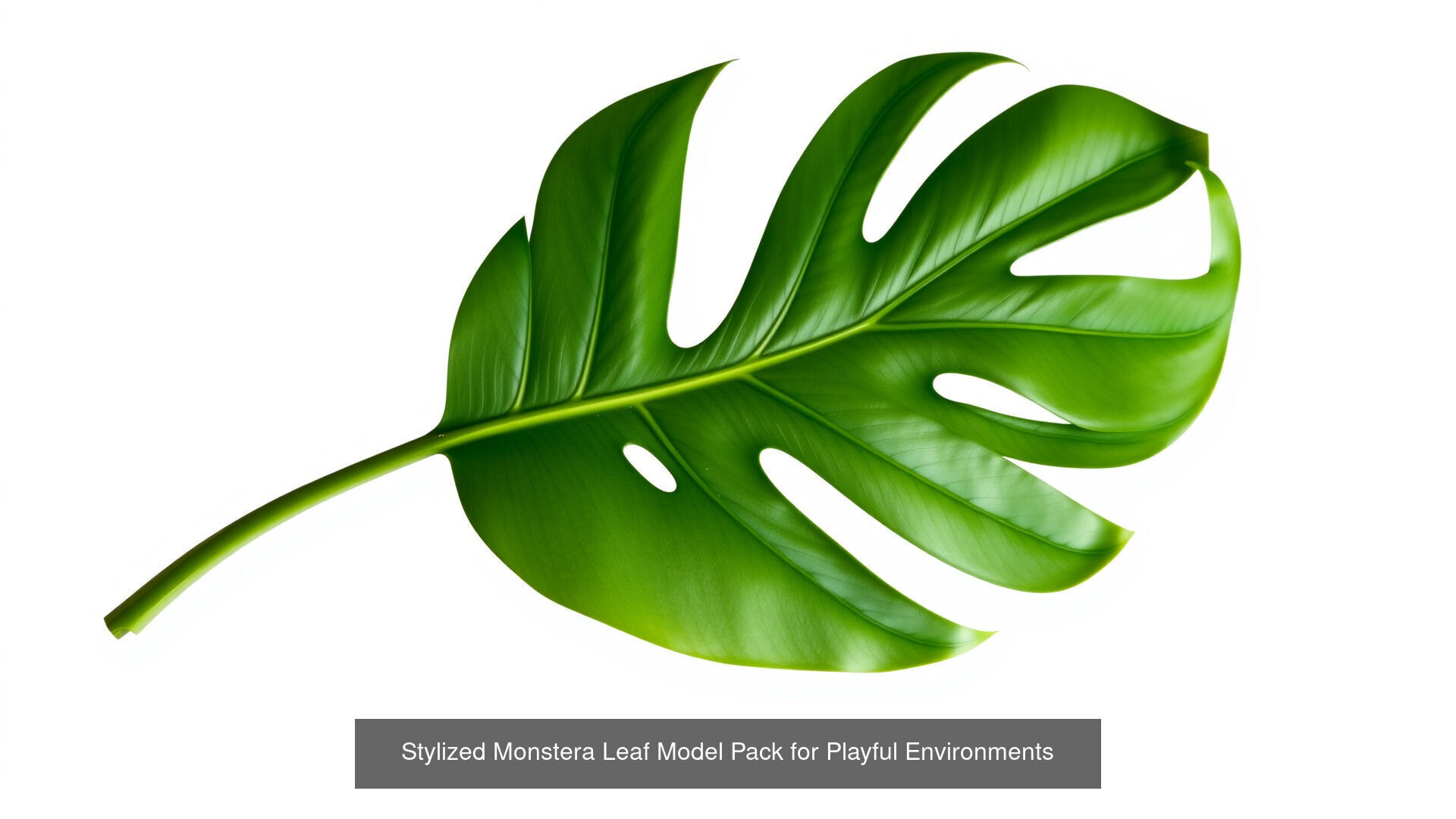 Tropical Leaves Monstera and Alocasia Pack 3D Model Collection_6