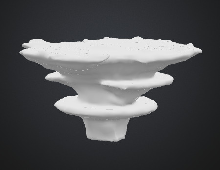 Shelf fungus 3D model_3