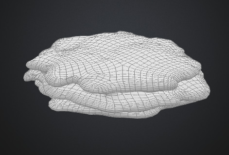 Shelf fungus 3D model_4