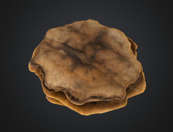Shelf fungus 3D model_1