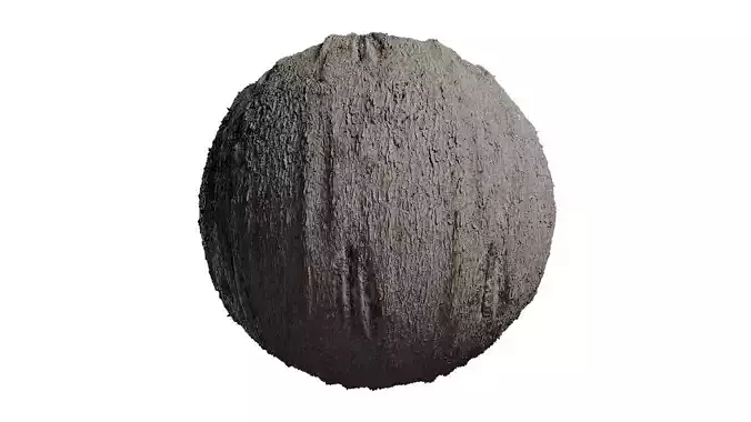 Anydrafts Abies fabri Bark 07