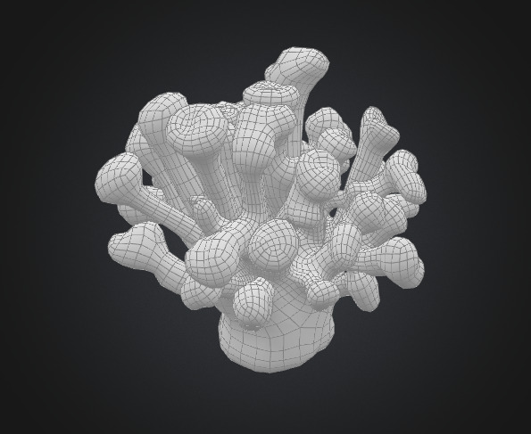 Coral mushroom 3D model_5