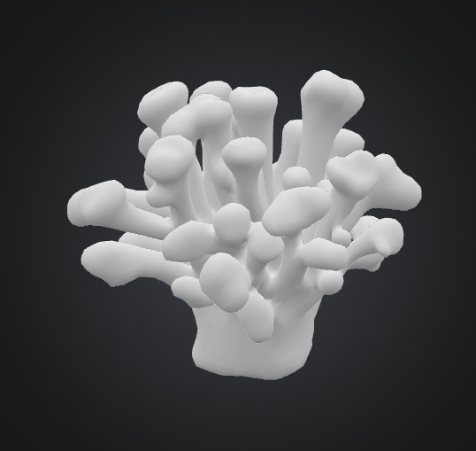 Coral mushroom 3D model_4