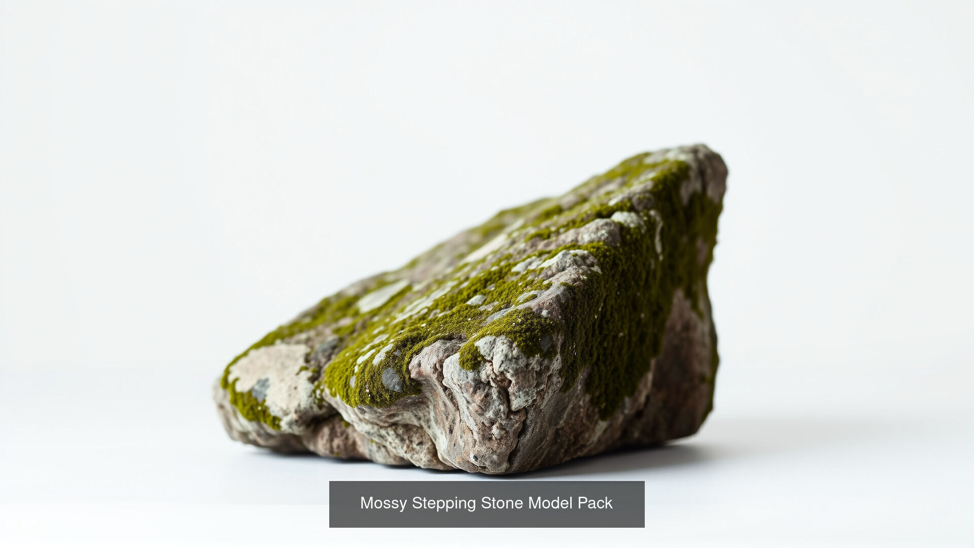 Mossy Wet Stones Pack 3D Model Collection_10