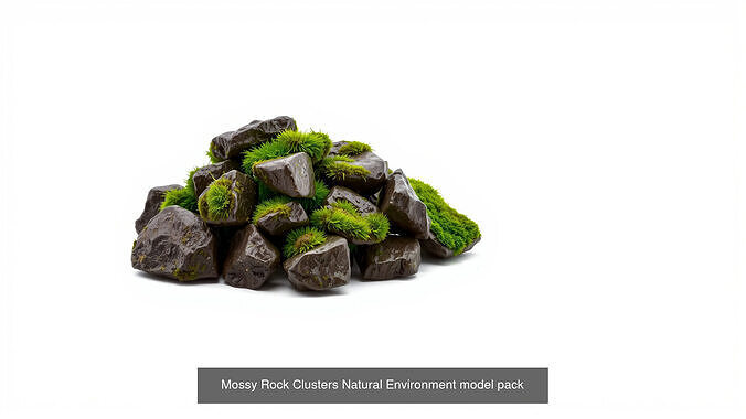 Mossy Wet Stones Pack 3D Model Collection