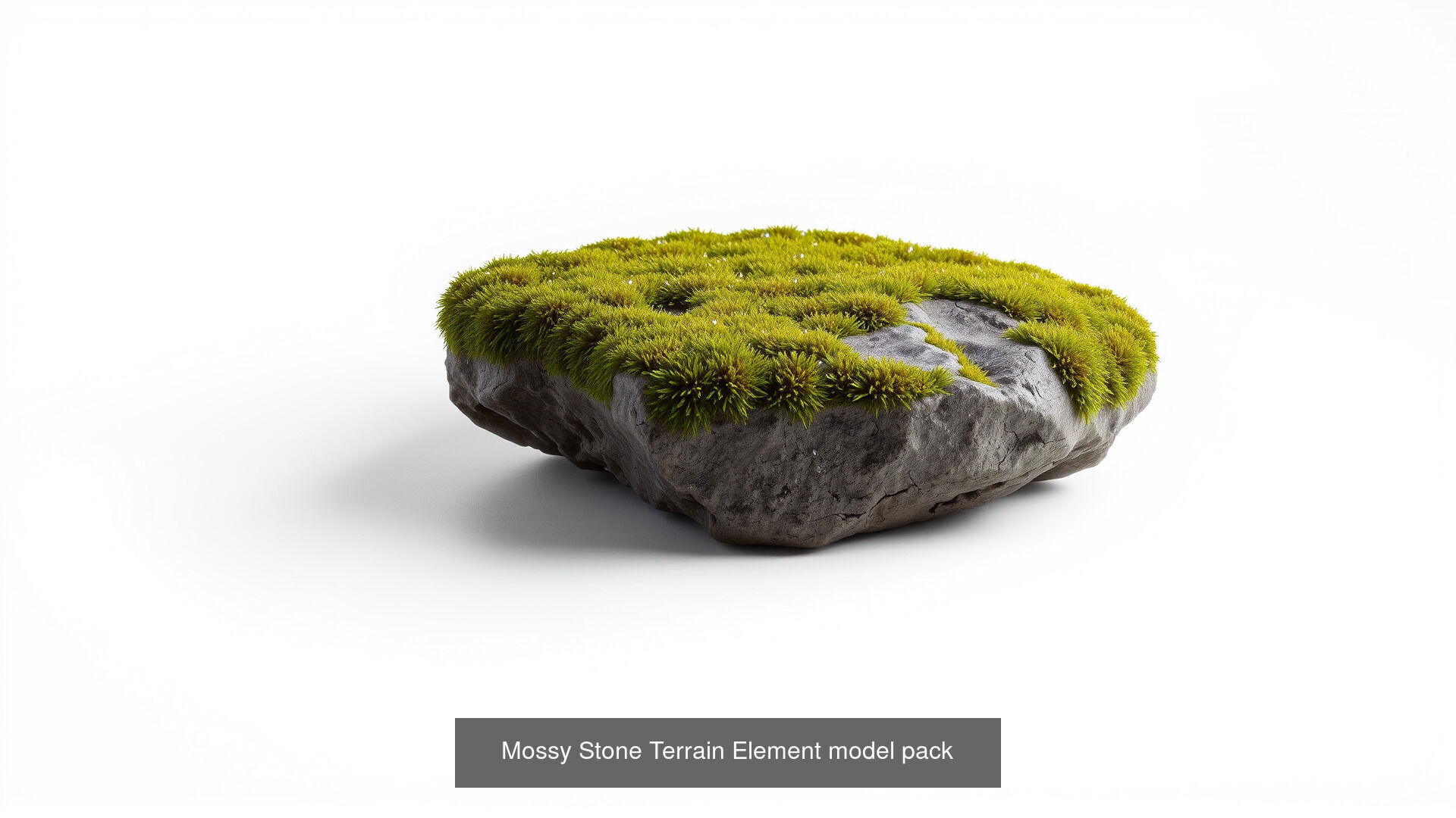 Mossy Wet Stones Pack 3D Model Collection_17
