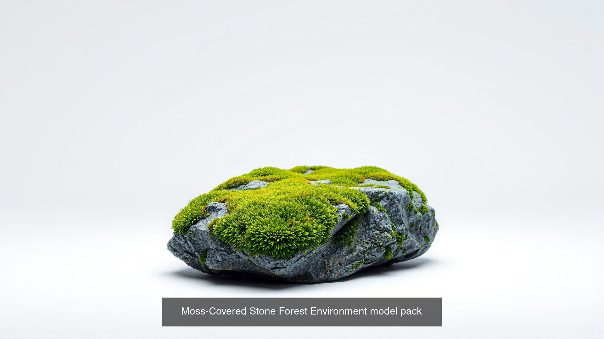 Mossy Wet Stones Pack 3D Model Collection_14