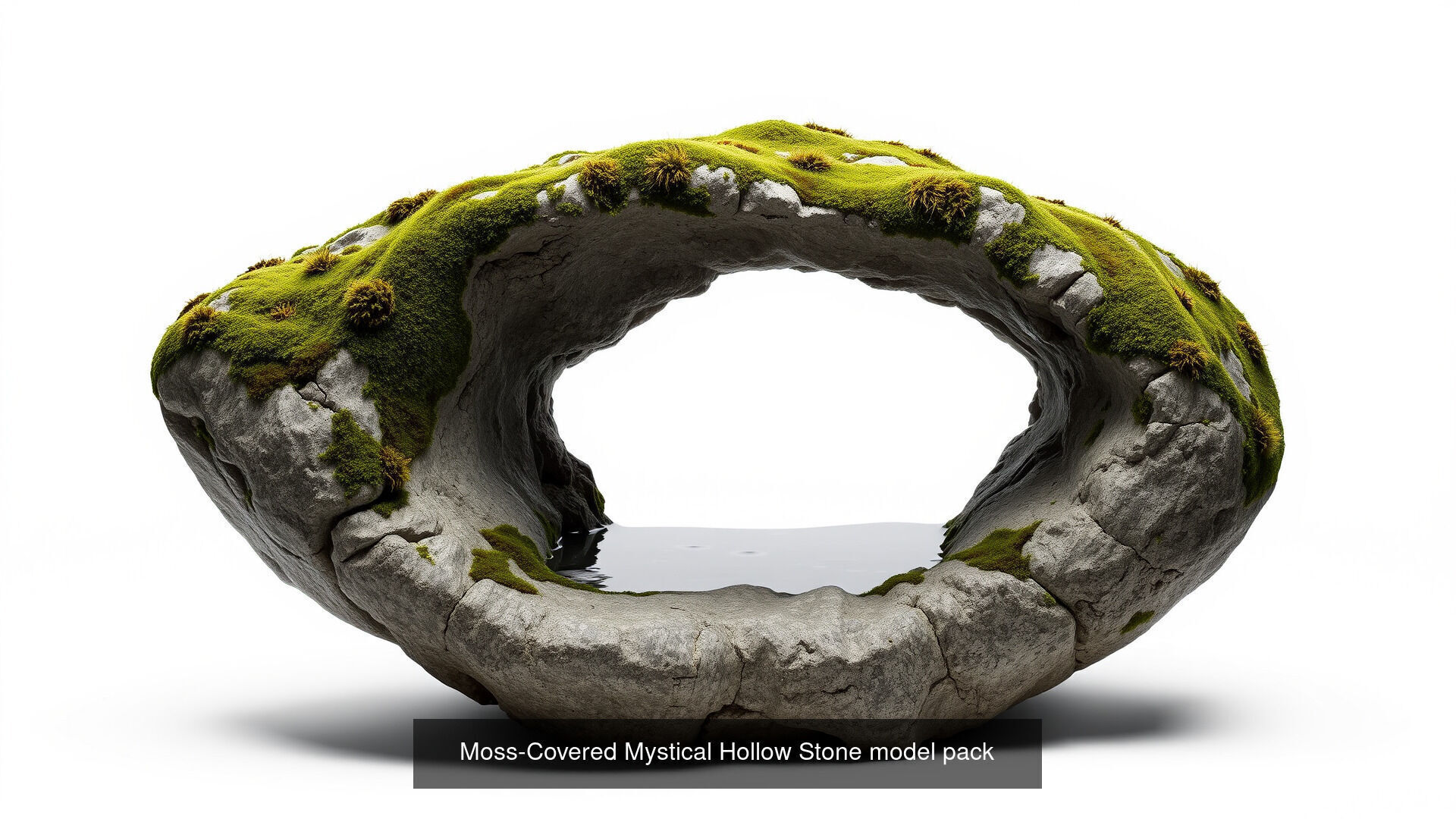 Mossy Wet Stones Pack 3D Model Collection_13