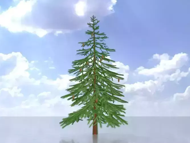 Spruce summer 2000mm Low-poly 3D model