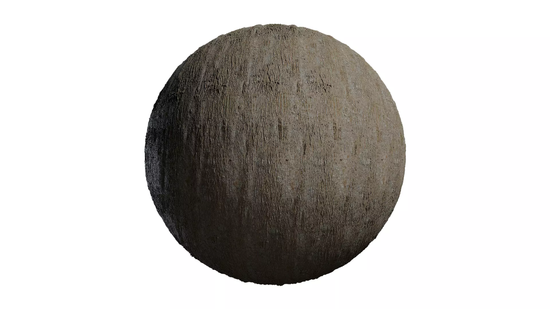Anydrafts Acacia confusa Bark 01 Texture
