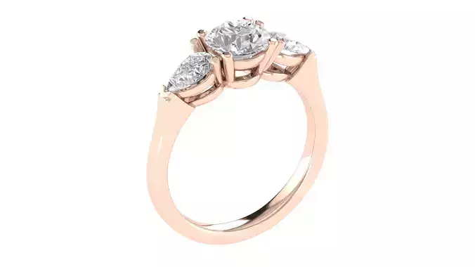 Women Ring  Render 3dm STL OBJ FBX TXT Details