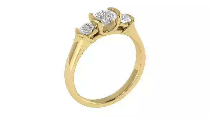 Women Ring  Render 3dm STL OBJ FBX TXT Details