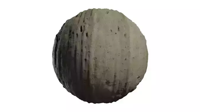 Anydrafts Acer palmatum dissectum Bark 01