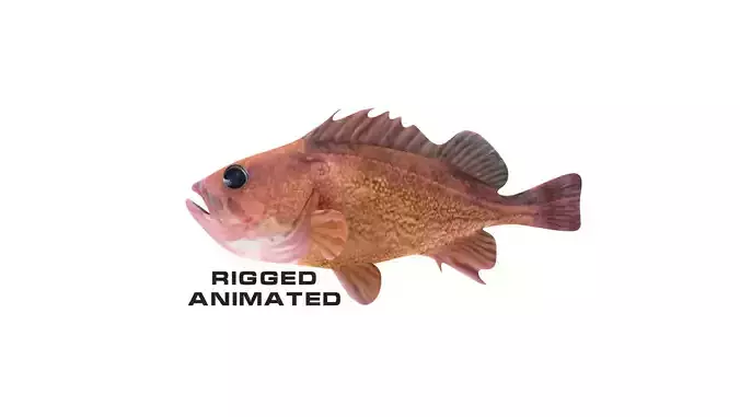 Low-Poly Honeycomb Rockfish Animated  Low-poly 3D model
