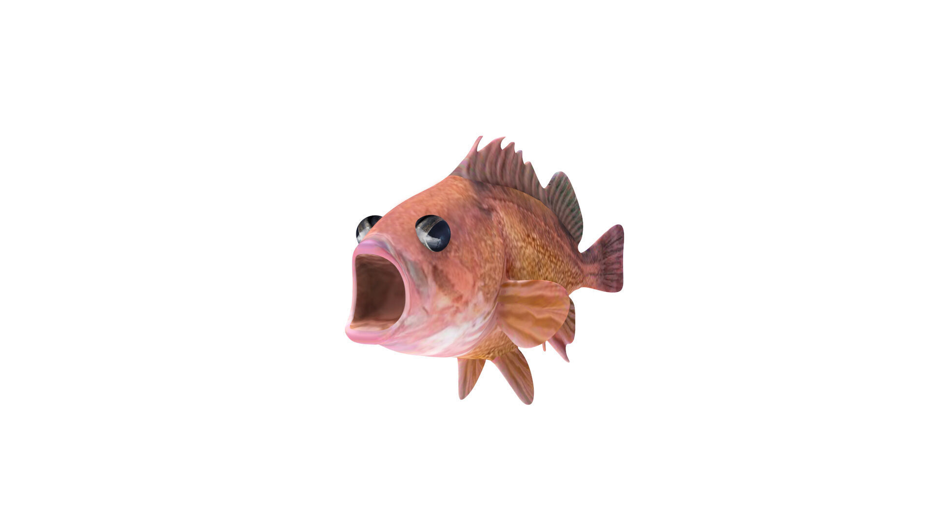 Low-Poly Honeycomb Rockfish Animated  Low-poly 3D model_5