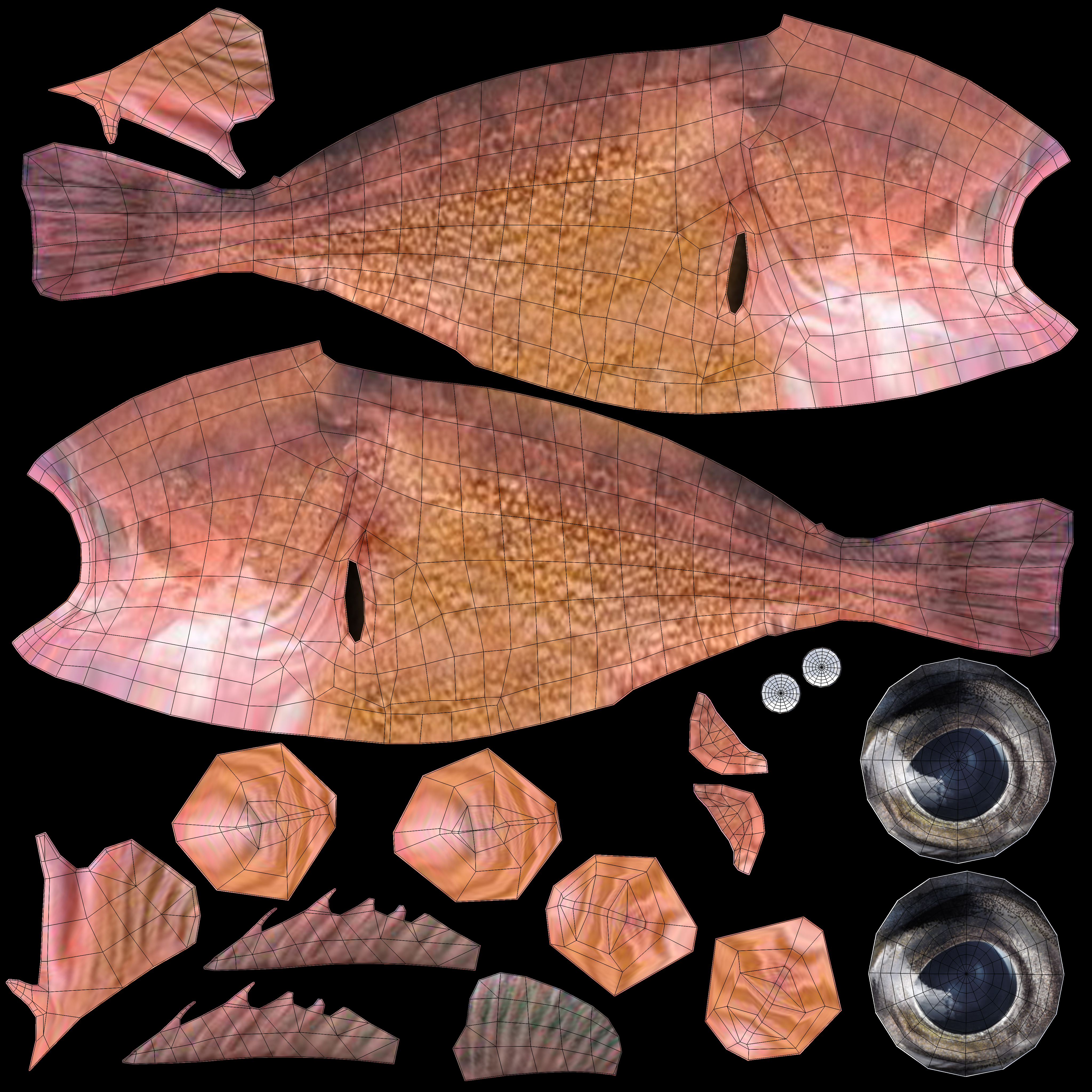 Low-Poly Honeycomb Rockfish Animated  Low-poly 3D model_12