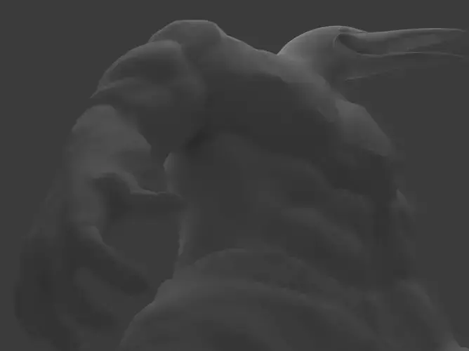 The Strongest Kiwi - 3D Model