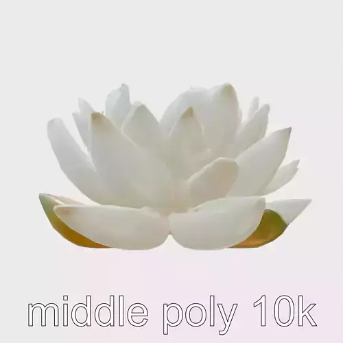 Mystical Water Lily with Glowing Center model pack