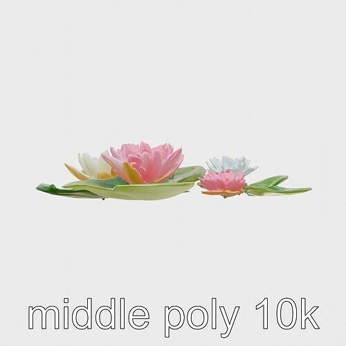 Lively Water Lily Pond Scene model pack Low-poly 3D model