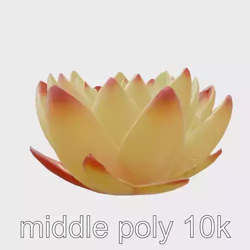 Stylized Water Lily with Glossy Petals model pack