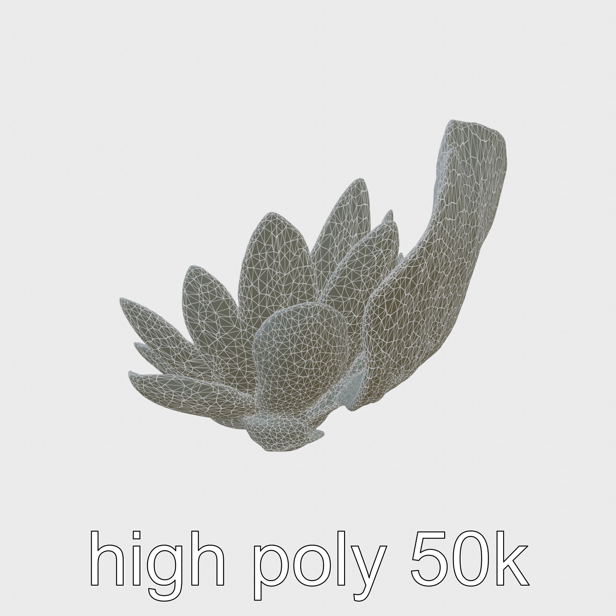Water Lily Yellow Flower Detailed Model Pack Low-poly 3D model_8