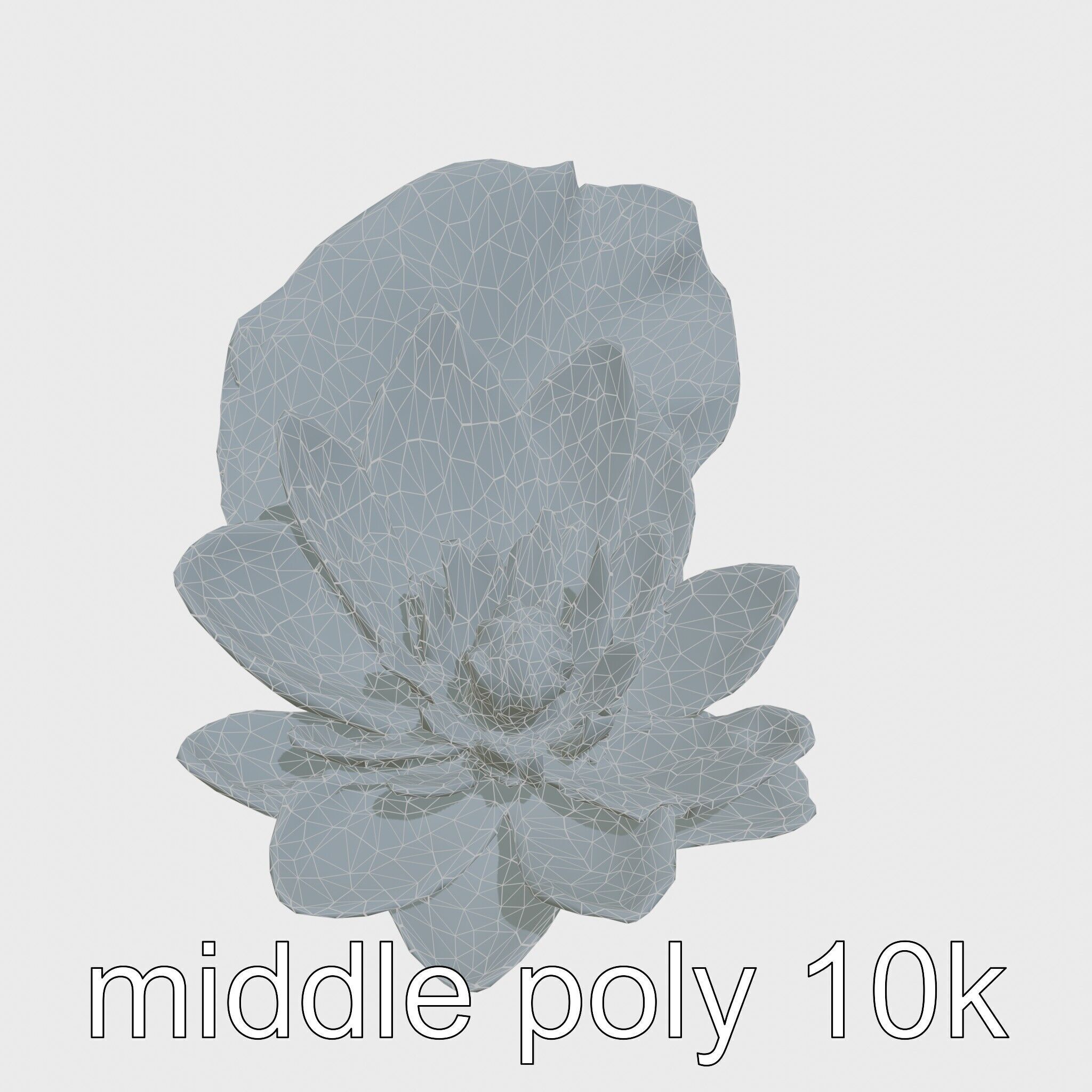 Water Lily Yellow Flower Detailed Model Pack Low-poly 3D model_15